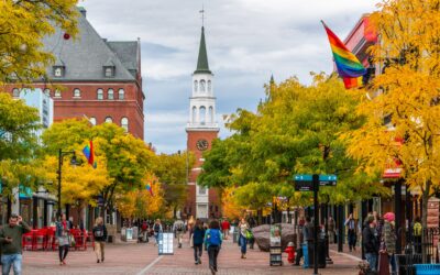 VLCT Town Fair 2026